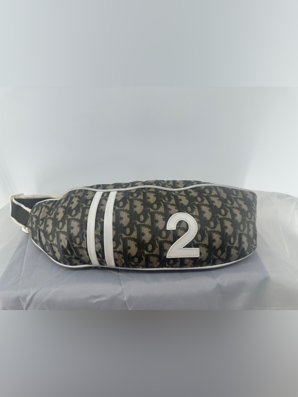 Christian Dior diorissima trotter belt bag